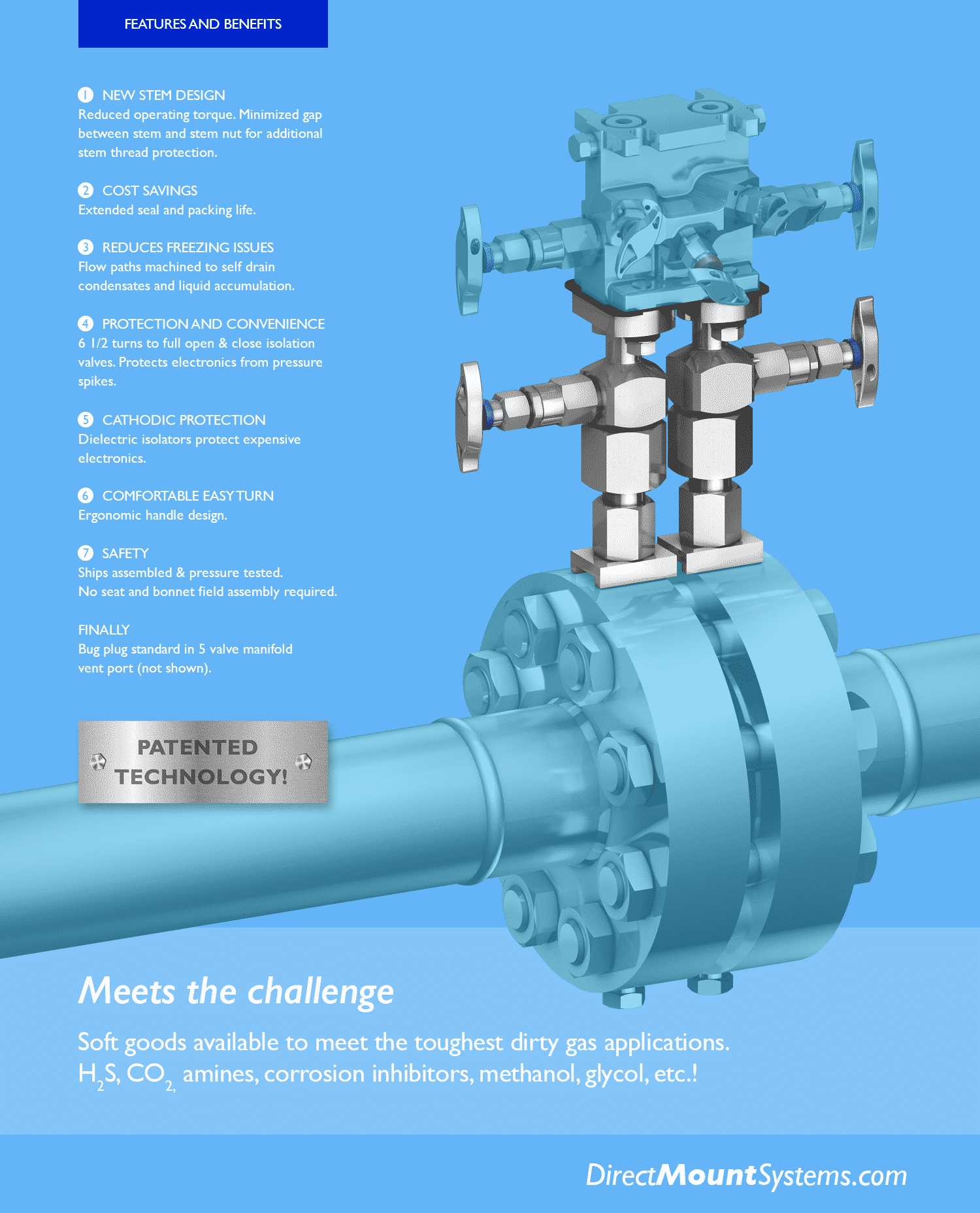 Features of Schneider DirectMount Systems for natural gas measurement